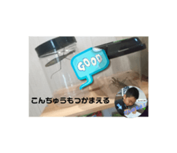 594589471