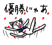 594593