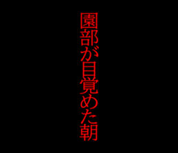 594616081