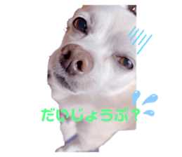 594647511