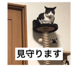 594658075