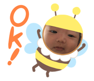 594668750