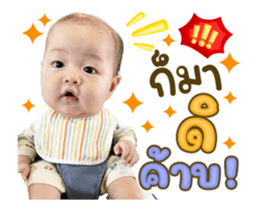 594680330