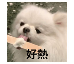 594685160