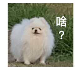 594685168