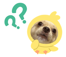 594689870