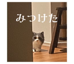 594690191