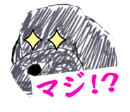 594734032