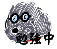 594734035