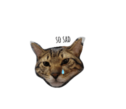 594788392