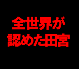 594833851