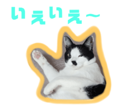 594840877