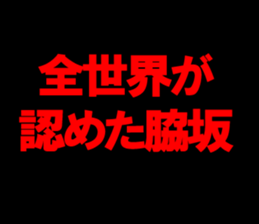 594842763