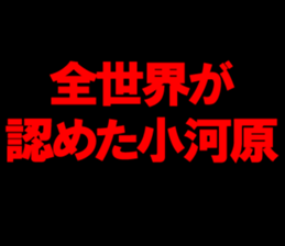 594845795