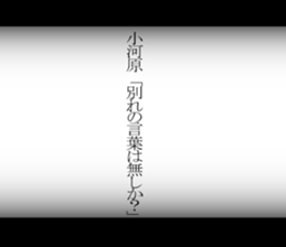 594845826