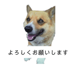 594858670