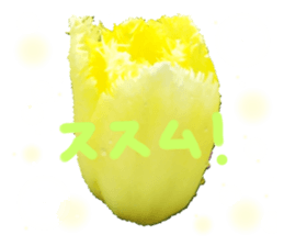 594859350