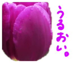 594859358