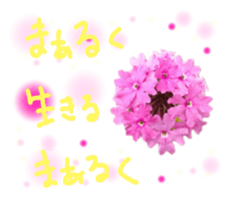 594859363