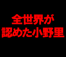 594880203