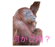 594899695