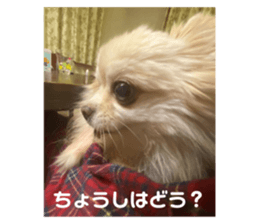 594900475