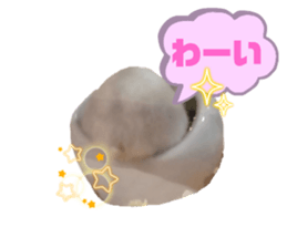 594904360