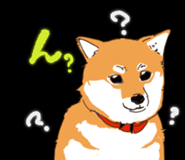 594908208