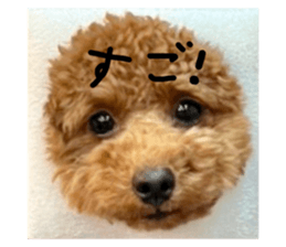 594913201