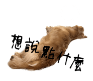 594919906