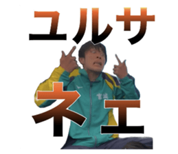 594931643