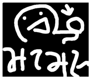 594932036