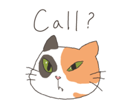 594951750