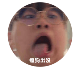 594964913