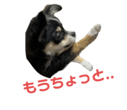 594982380