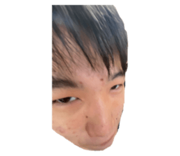 595038856