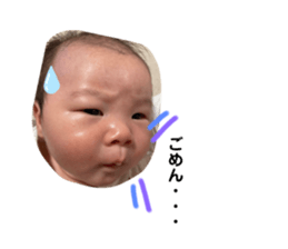 595075557