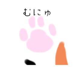 595078117