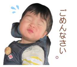 595081844