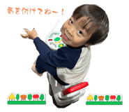 595091911