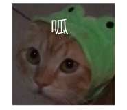 595111715