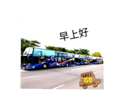 595139254