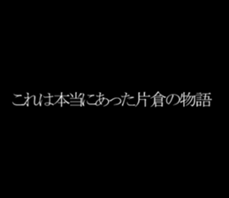 595147981