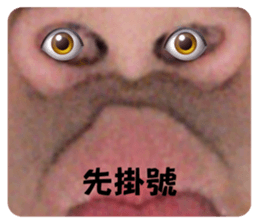 595205612