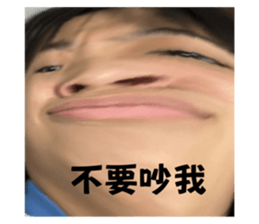 595205623