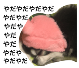 595206841