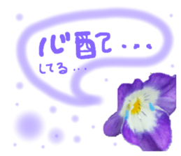 595208353