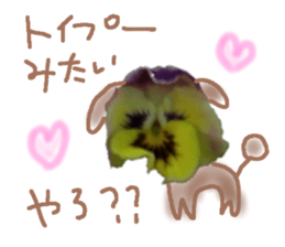 595208366