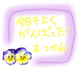 595208368