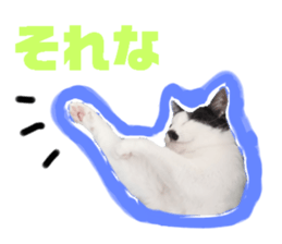 595220116